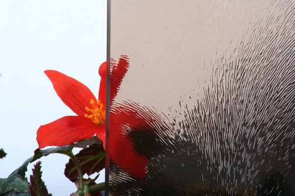 Satin Bloom